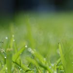 福島の復興は進んでいるのか？